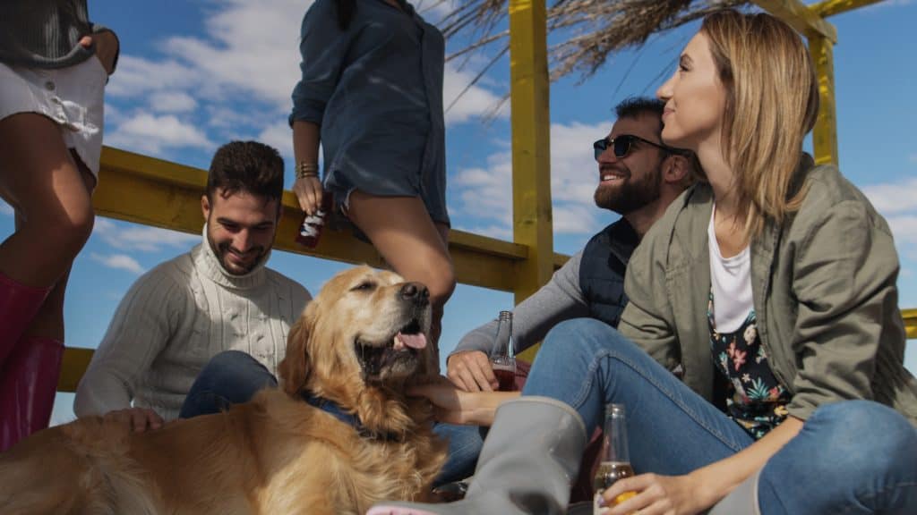 Happy Group Of Friends Hanging Out At Beach House having fun and drinking beer on autumn day