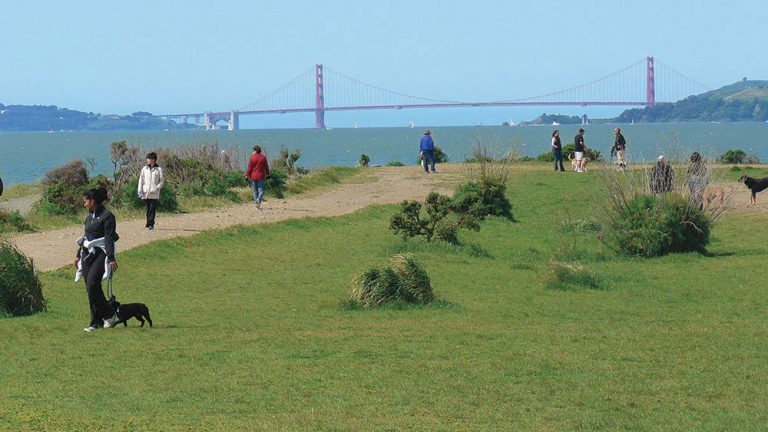 Spring adventures with your furry friends at the East Bay Regional Park District