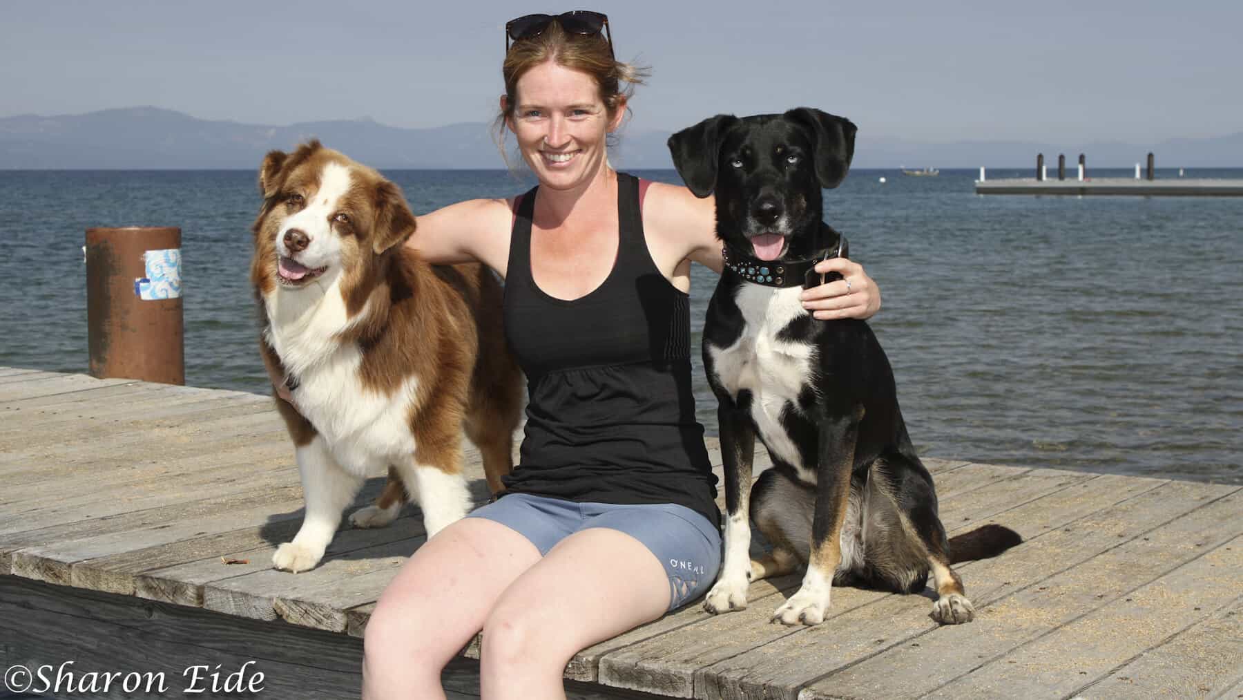 A summer day at the "Wild Blue Dogs" camp, where a woman is seated on an old rustic wooden dock. She's surrounded by her faithful companions - two beautiful dogs.