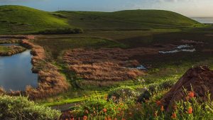 Coyote Hills Regional Park