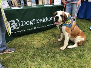 A vibrant dog park bathed in sunlight features abundant greenery with mature trees, offering ample shade for leisurely outdoor activities. In the distance is a well-equipped playground that presents an additional activity area. An inviting picnic table spreads out nearby, ideal for enjoying meals al fresco or taking relaxing breaks from play. A neatly-placed trash bin aids in maintaining the park's cleanliness for everyone's enjoyment. Dominating the scene is a generously wide dirt path gracefully curving through the expanse of grass, promising exploratory walks and lively fetch games.