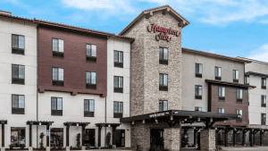 A vibrant dog park bathed in sunlight features abundant greenery with mature trees, offering ample shade for leisurely outdoor activities. In the distance is a well-equipped playground that presents an additional activity area. An inviting picnic table spreads out nearby, ideal for enjoying meals al fresco or taking relaxing breaks from play. A neatly-placed trash bin aids in maintaining the park's cleanliness for everyone's enjoyment. Dominating the scene is a generously wide dirt path gracefully curving through the expanse of grass, promising exploratory walks and lively fetch games.
