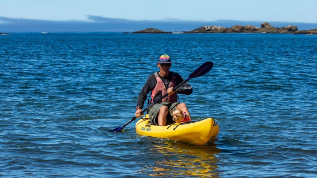 man and dog kayaking near the Little River Inn in Mendocino.