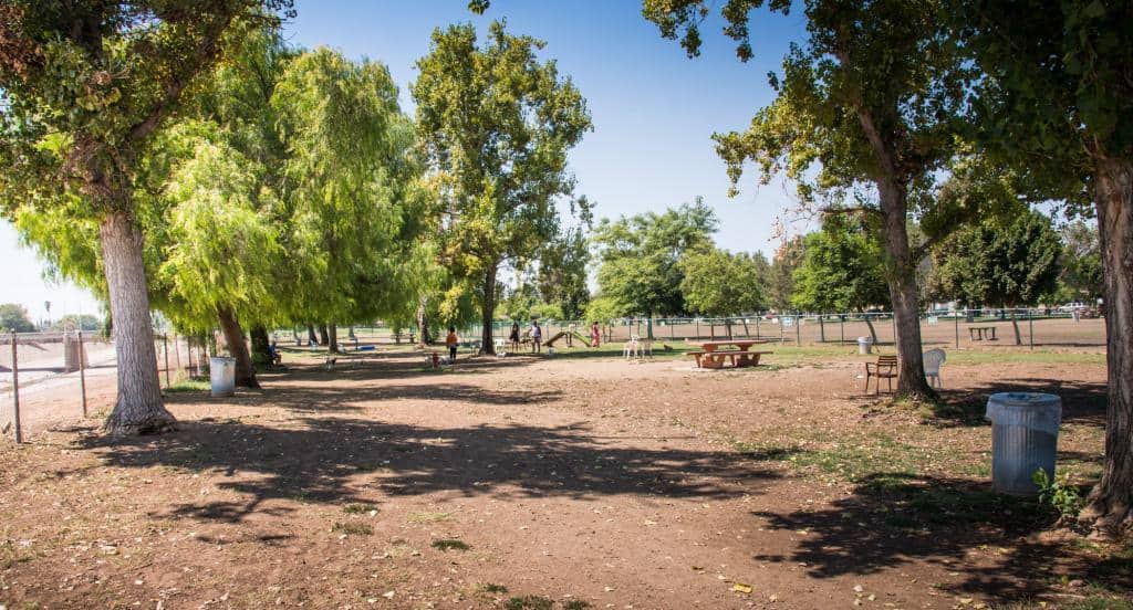 A vibrant dog park bathed in sunlight features abundant greenery with mature trees, offering ample shade for leisurely outdoor activities. In the distance is a well-equipped playground that presents an additional activity area. An inviting picnic table spreads out nearby, ideal for enjoying meals al fresco or taking relaxing breaks from play. A neatly-placed trash bin aids in maintaining the park's cleanliness for everyone's enjoyment. Dominating the scene is a generously wide dirt path gracefully curving through the expanse of grass, promising exploratory walks and lively fetch games.