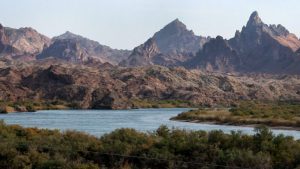 A vibrant dog park bathed in sunlight features abundant greenery with mature trees, offering ample shade for leisurely outdoor activities. In the distance is a well-equipped playground that presents an additional activity area. An inviting picnic table spreads out nearby, ideal for enjoying meals al fresco or taking relaxing breaks from play. A neatly-placed trash bin aids in maintaining the park's cleanliness for everyone's enjoyment. Dominating the scene is a generously wide dirt path gracefully curving through the expanse of grass, promising exploratory walks and lively fetch games.
