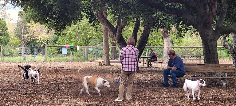 Photo by El Chorro Dog Park.