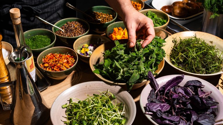 Little Saint Healdsburg