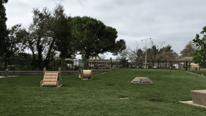 A vibrant dog park bathed in sunlight features abundant greenery with mature trees, offering ample shade for leisurely outdoor activities. In the distance is a well-equipped playground that presents an additional activity area. An inviting picnic table spreads out nearby, ideal for enjoying meals al fresco or taking relaxing breaks from play. A neatly-placed trash bin aids in maintaining the park's cleanliness for everyone's enjoyment. Dominating the scene is a generously wide dirt path gracefully curving through the expanse of grass, promising exploratory walks and lively fetch games.