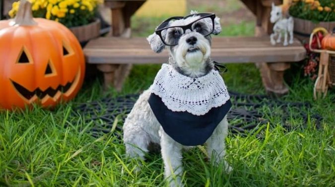 Ventura Harbor Village