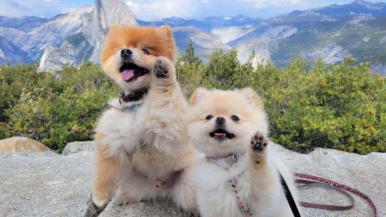 Best-in-show travel pix: 2024 Go California Photo Contest winners