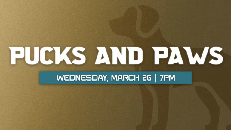 A vibrant dog park bathed in sunlight features abundant greenery with mature trees, offering ample shade for leisurely outdoor activities. In the distance is a well-equipped playground that presents an additional activity area. An inviting picnic table spreads out nearby, ideal for enjoying meals al fresco or taking relaxing breaks from play. A neatly-placed trash bin aids in maintaining the park's cleanliness for everyone's enjoyment. Dominating the scene is a generously wide dirt path gracefully curving through the expanse of grass, promising exploratory walks and lively fetch games.