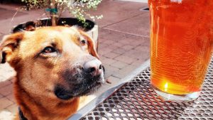 178807970 4197031870328516 690048677241203135 n