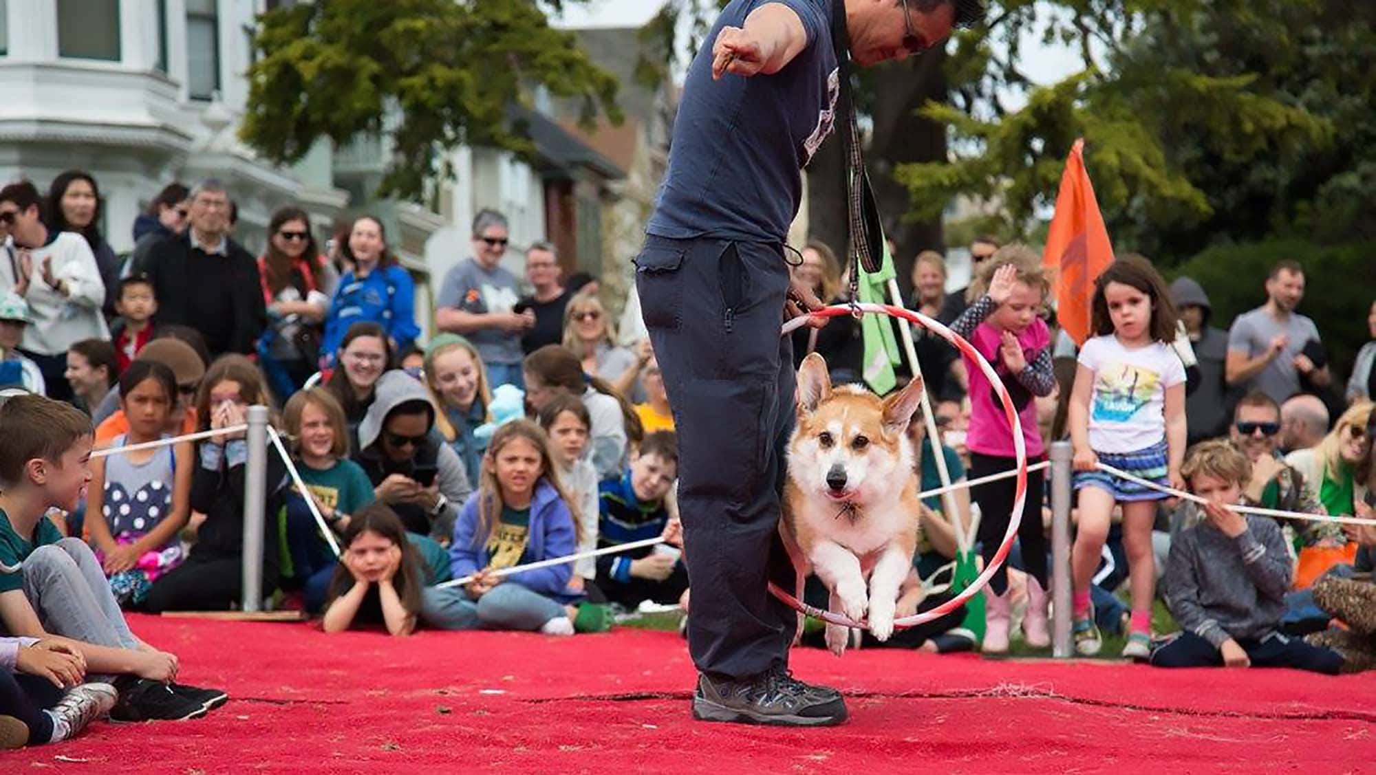 During an outdoor performance, a dog springs through a hoop held by someone in the center of a lively scene. Spectators gather along the edges, seated comfortably on a red carpet. Among them are adults and children, all focused on the action. In the background, trees and houses add to the setting’s colorful backdrop.