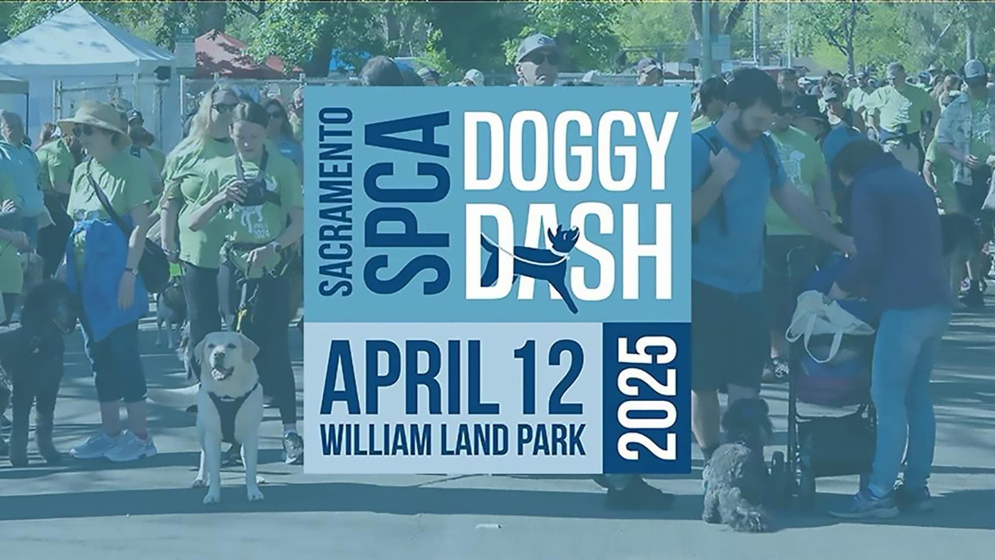The image highlights the lively scene of a bustling outdoor event, dominated by the vibrant presence of both people and their canine companions. Dogs of all shapes and sizes weave through the crowd, tails wagging with excitement. The announcement in bold print clearly states: 