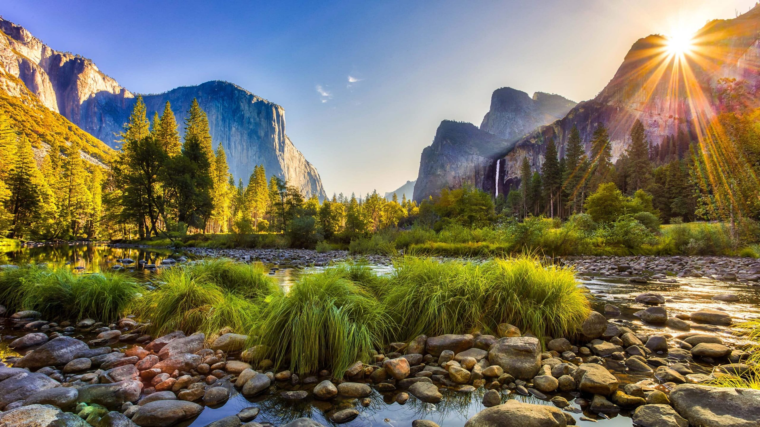 A vibrant dog park bathed in sunlight features abundant greenery with mature trees, offering ample shade for leisurely outdoor activities. In the distance is a well-equipped playground that presents an additional activity area. An inviting picnic table spreads out nearby, ideal for enjoying meals al fresco or taking relaxing breaks from play. A neatly-placed trash bin aids in maintaining the park's cleanliness for everyone's enjoyment. Dominating the scene is a generously wide dirt path gracefully curving through the expanse of grass, promising exploratory walks and lively fetch games.