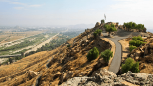 A vibrant dog park bathed in sunlight features abundant greenery with mature trees, offering ample shade for leisurely outdoor activities. In the distance is a well-equipped playground that presents an additional activity area. An inviting picnic table spreads out nearby, ideal for enjoying meals al fresco or taking relaxing breaks from play. A neatly-placed trash bin aids in maintaining the park's cleanliness for everyone's enjoyment. Dominating the scene is a generously wide dirt path gracefully curving through the expanse of grass, promising exploratory walks and lively fetch games.