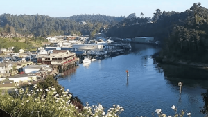 A vibrant dog park bathed in sunlight features abundant greenery with mature trees, offering ample shade for leisurely outdoor activities. In the distance is a well-equipped playground that presents an additional activity area. An inviting picnic table spreads out nearby, ideal for enjoying meals al fresco or taking relaxing breaks from play. A neatly-placed trash bin aids in maintaining the park's cleanliness for everyone's enjoyment. Dominating the scene is a generously wide dirt path gracefully curving through the expanse of grass, promising exploratory walks and lively fetch games.