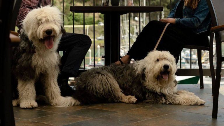 Tasty treats for hungry travelers