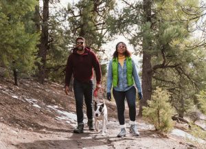 A vibrant dog park bathed in sunlight features abundant greenery with mature trees, offering ample shade for leisurely outdoor activities. In the distance is a well-equipped playground that presents an additional activity area. An inviting picnic table spreads out nearby, ideal for enjoying meals al fresco or taking relaxing breaks from play. A neatly-placed trash bin aids in maintaining the park's cleanliness for everyone's enjoyment. Dominating the scene is a generously wide dirt path gracefully curving through the expanse of grass, promising exploratory walks and lively fetch games.