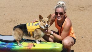 A vibrant dog park bathed in sunlight features abundant greenery with mature trees, offering ample shade for leisurely outdoor activities. In the distance is a well-equipped playground that presents an additional activity area. An inviting picnic table spreads out nearby, ideal for enjoying meals al fresco or taking relaxing breaks from play. A neatly-placed trash bin aids in maintaining the park's cleanliness for everyone's enjoyment. Dominating the scene is a generously wide dirt path gracefully curving through the expanse of grass, promising exploratory walks and lively fetch games.