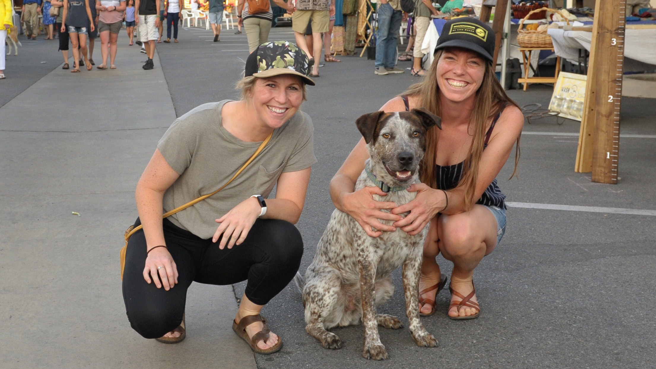A vibrant dog park bathed in sunlight features abundant greenery with mature trees, offering ample shade for leisurely outdoor activities. In the distance is a well-equipped playground that presents an additional activity area. An inviting picnic table spreads out nearby, ideal for enjoying meals al fresco or taking relaxing breaks from play. A neatly-placed trash bin aids in maintaining the park's cleanliness for everyone's enjoyment. Dominating the scene is a generously wide dirt path gracefully curving through the expanse of grass, promising exploratory walks and lively fetch games.