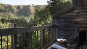 A vibrant dog park bathed in sunlight features abundant greenery with mature trees, offering ample shade for leisurely outdoor activities. In the distance is a well-equipped playground that presents an additional activity area. An inviting picnic table spreads out nearby, ideal for enjoying meals al fresco or taking relaxing breaks from play. A neatly-placed trash bin aids in maintaining the park's cleanliness for everyone's enjoyment. Dominating the scene is a generously wide dirt path gracefully curving through the expanse of grass, promising exploratory walks and lively fetch games.