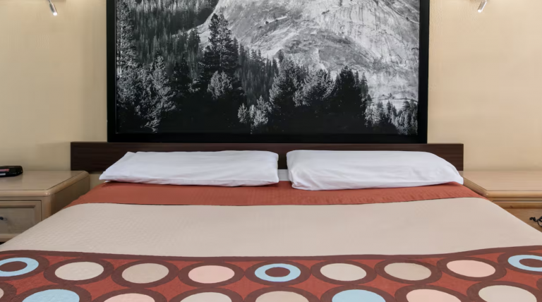 Super 8 by Wyndham Bishop