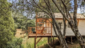 A vibrant dog park bathed in sunlight features abundant greenery with mature trees, offering ample shade for leisurely outdoor activities. In the distance is a well-equipped playground that presents an additional activity area. An inviting picnic table spreads out nearby, ideal for enjoying meals al fresco or taking relaxing breaks from play. A neatly-placed trash bin aids in maintaining the park's cleanliness for everyone's enjoyment. Dominating the scene is a generously wide dirt path gracefully curving through the expanse of grass, promising exploratory walks and lively fetch games.