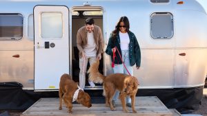 A vibrant dog park bathed in sunlight features abundant greenery with mature trees, offering ample shade for leisurely outdoor activities. In the distance is a well-equipped playground that presents an additional activity area. An inviting picnic table spreads out nearby, ideal for enjoying meals al fresco or taking relaxing breaks from play. A neatly-placed trash bin aids in maintaining the park's cleanliness for everyone's enjoyment. Dominating the scene is a generously wide dirt path gracefully curving through the expanse of grass, promising exploratory walks and lively fetch games.