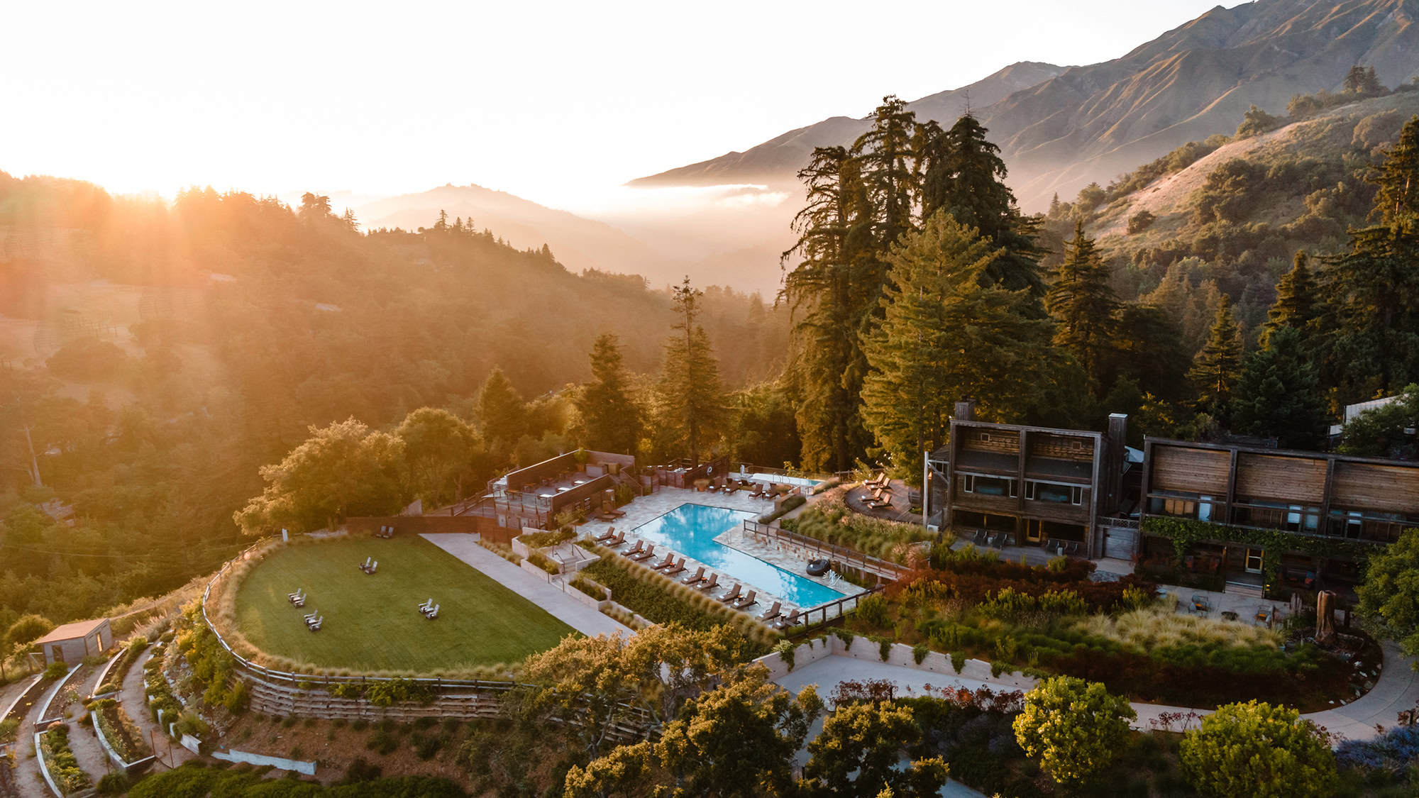 A vibrant dog park bathed in sunlight features abundant greenery with mature trees, offering ample shade for leisurely outdoor activities. In the distance is a well-equipped playground that presents an additional activity area. An inviting picnic table spreads out nearby, ideal for enjoying meals al fresco or taking relaxing breaks from play. A neatly-placed trash bin aids in maintaining the park's cleanliness for everyone's enjoyment. Dominating the scene is a generously wide dirt path gracefully curving through the expanse of grass, promising exploratory walks and lively fetch games.