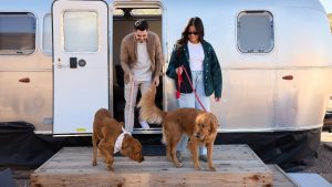 A vibrant dog park bathed in sunlight features abundant greenery with mature trees, offering ample shade for leisurely outdoor activities. In the distance is a well-equipped playground that presents an additional activity area. An inviting picnic table spreads out nearby, ideal for enjoying meals al fresco or taking relaxing breaks from play. A neatly-placed trash bin aids in maintaining the park's cleanliness for everyone's enjoyment. Dominating the scene is a generously wide dirt path gracefully curving through the expanse of grass, promising exploratory walks and lively fetch games.