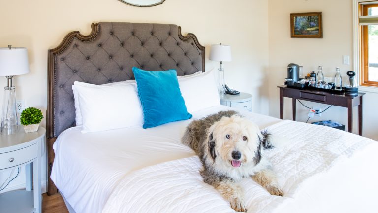 Comfy rooms with fetching design features