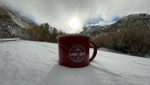 A vibrant dog park bathed in sunlight features abundant greenery with mature trees, offering ample shade for leisurely outdoor activities. In the distance is a well-equipped playground that presents an additional activity area. An inviting picnic table spreads out nearby, ideal for enjoying meals al fresco or taking relaxing breaks from play. A neatly-placed trash bin aids in maintaining the park's cleanliness for everyone's enjoyment. Dominating the scene is a generously wide dirt path gracefully curving through the expanse of grass, promising exploratory walks and lively fetch games.