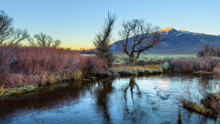Owens River