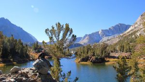A vibrant dog park bathed in sunlight features abundant greenery with mature trees, offering ample shade for leisurely outdoor activities. In the distance is a well-equipped playground that presents an additional activity area. An inviting picnic table spreads out nearby, ideal for enjoying meals al fresco or taking relaxing breaks from play. A neatly-placed trash bin aids in maintaining the park's cleanliness for everyone's enjoyment. Dominating the scene is a generously wide dirt path gracefully curving through the expanse of grass, promising exploratory walks and lively fetch games.