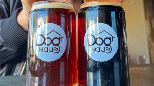 A vibrant dog park bathed in sunlight features abundant greenery with mature trees, offering ample shade for leisurely outdoor activities. In the distance is a well-equipped playground that presents an additional activity area. An inviting picnic table spreads out nearby, ideal for enjoying meals al fresco or taking relaxing breaks from play. A neatly-placed trash bin aids in maintaining the park's cleanliness for everyone's enjoyment. Dominating the scene is a generously wide dirt path gracefully curving through the expanse of grass, promising exploratory walks and lively fetch games.