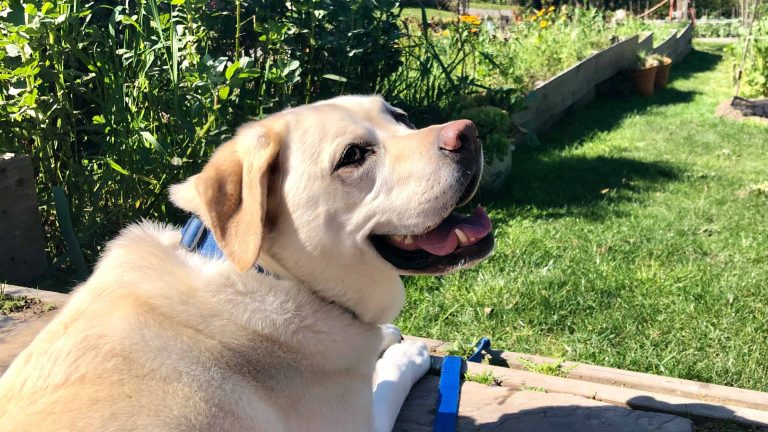 Maya at the Stanford Inn.