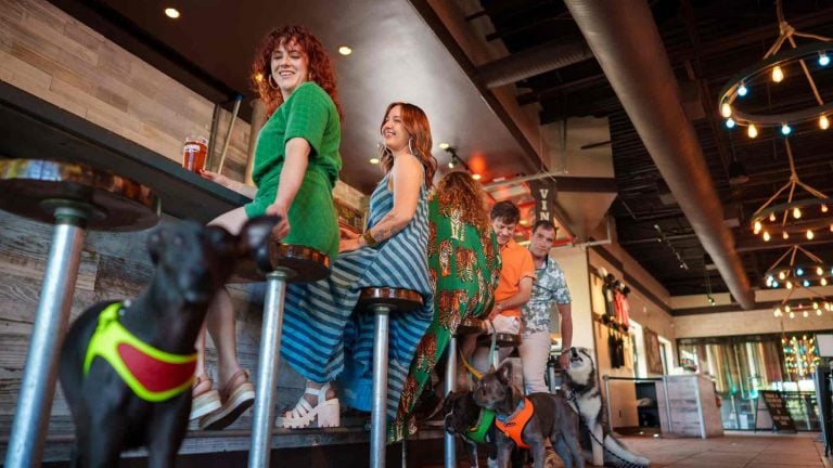 Dogs and people sitting at a brew pub in Greater Palm Springs