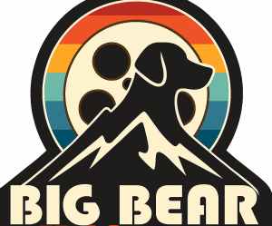 Vibrant retro-style logo of Big Bear Mountain featuring a mountain silhouette, a stylized dog, and a colorful rainbow circle background for outdoor adventure and dog-friendly travel.