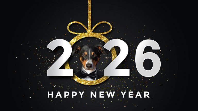 Happy New Year from DogTrekker!