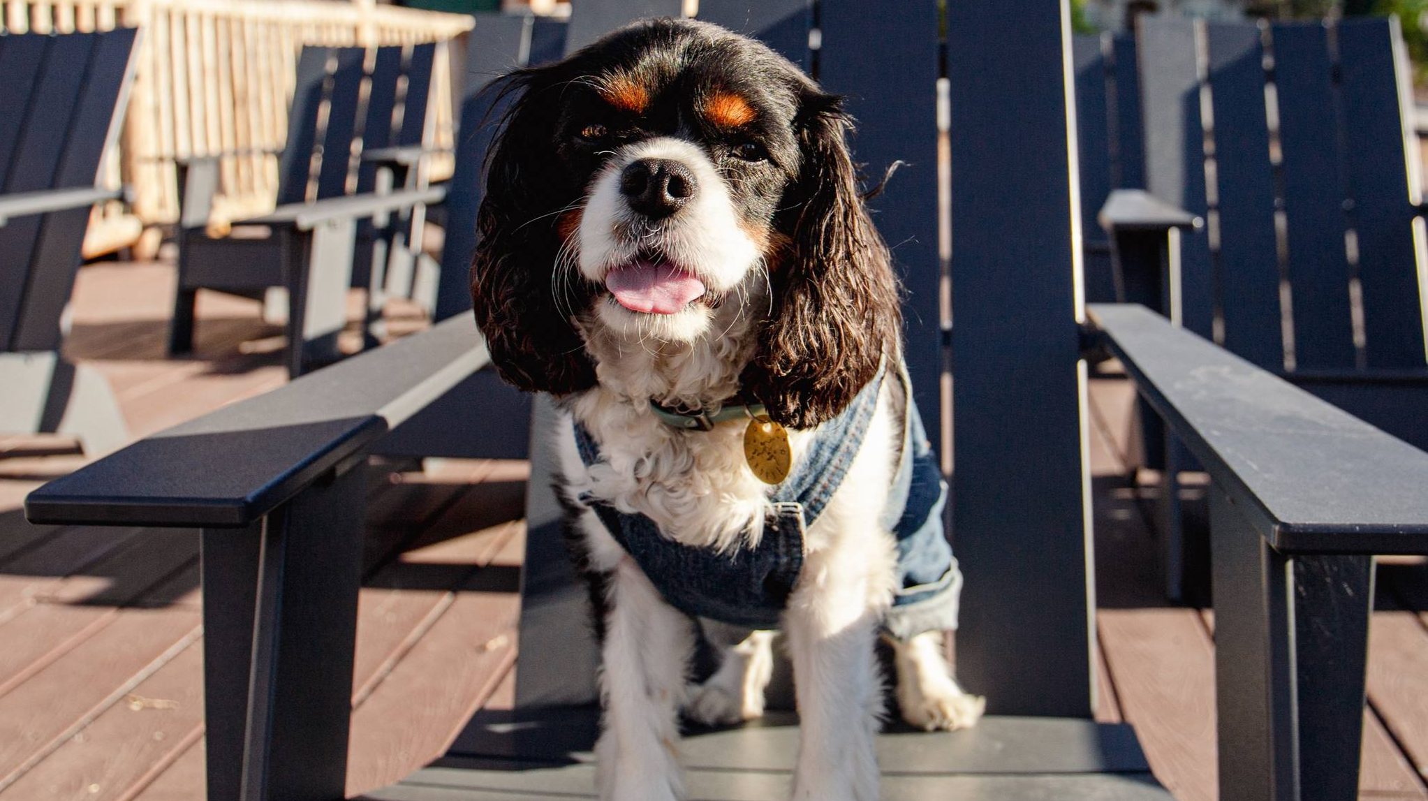 Marina Riviera Big Bear. Photo by Hotel Marina Riviera.