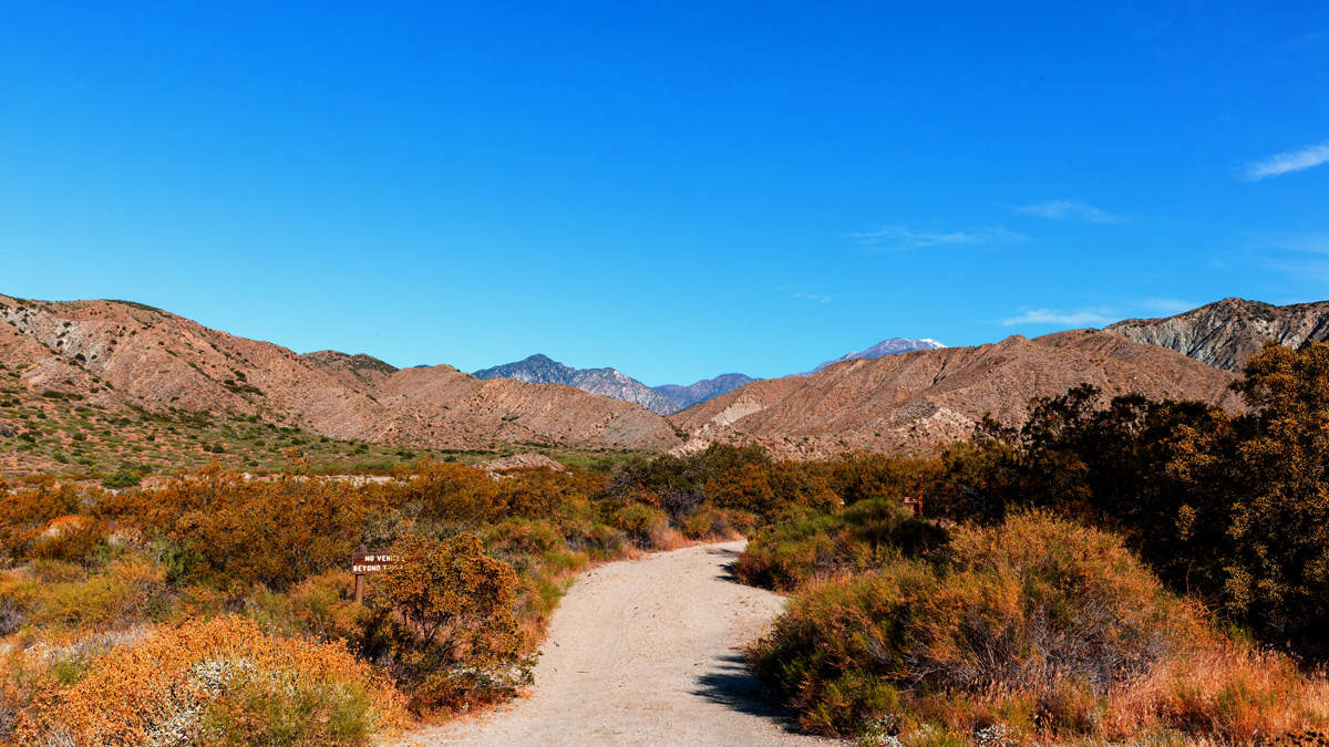 Mission Creek Preserve
