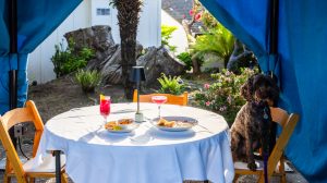 Little River Inn dining cabana