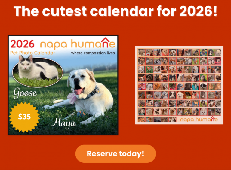 Support Napa Humane with a Calendar Purchase
