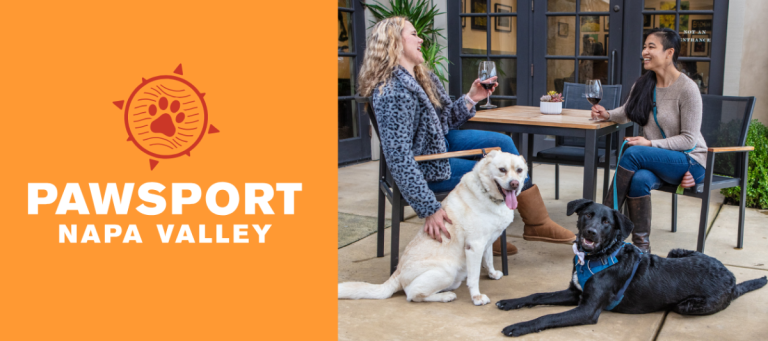 DogTrekker Two women with dogs sit at a patio table with wine glasses; PawSport Napa Valley logo appears on an orange background to the left.